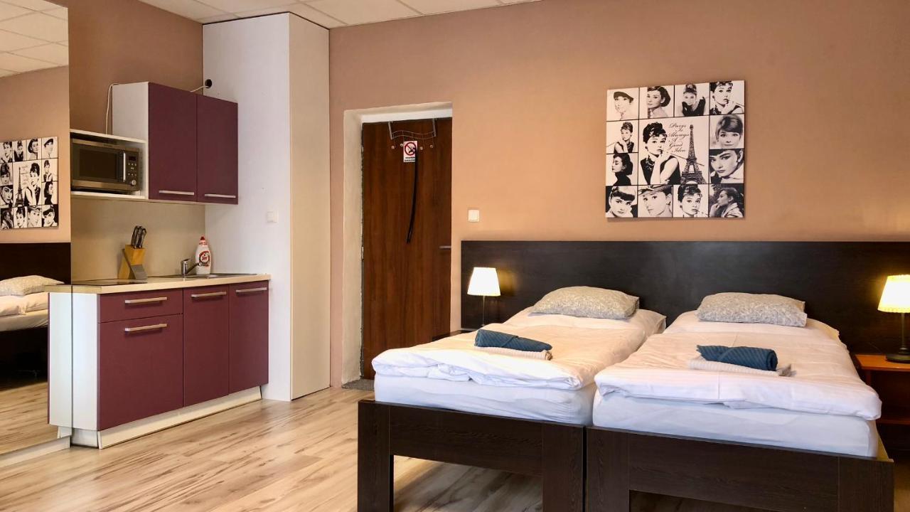 Pension Village Karlovy Vary Dış mekan fotoğraf